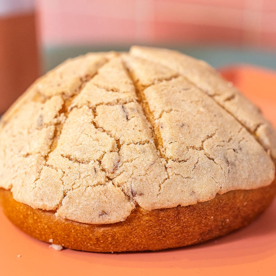 Concha de Mazapán – Conchas Tomasa