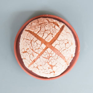 concha-mazapan-conchas-tomasa