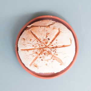 concha-nuez-conchas-tomasa