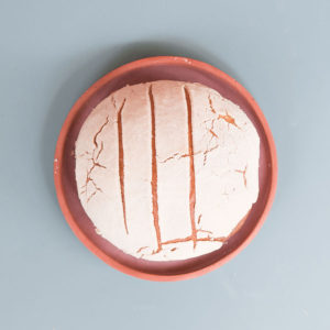 concha-vainilla-conchas-tomasa