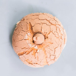 concha-conejo-turin-conchas-tomasa